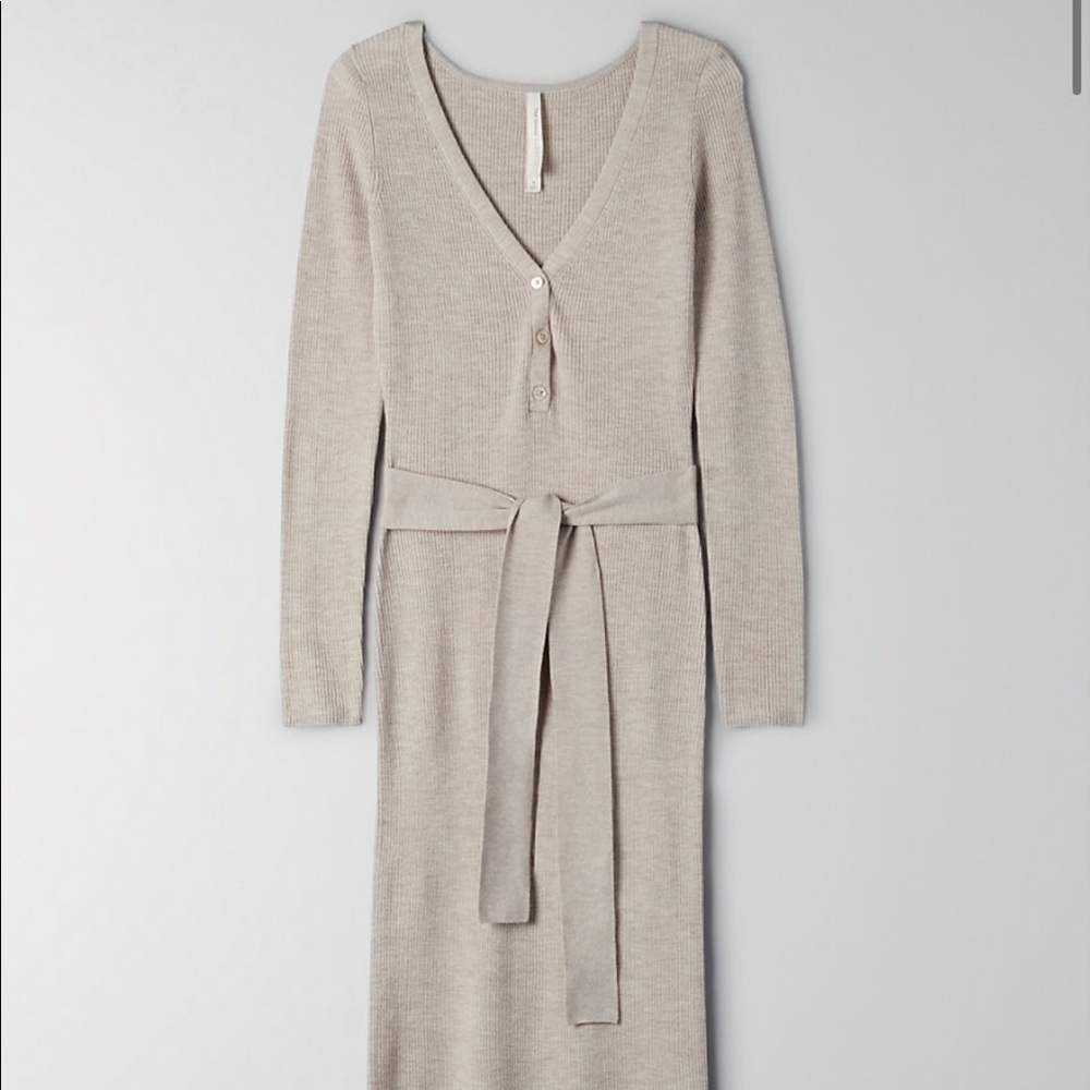 Aritzia Babaton Dress | Henley Sweater Dress